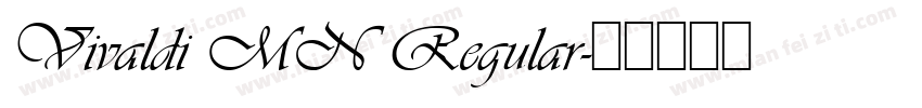 Vivaldi MN Regular字体转换
